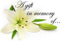 A Gift in Memory of with a Lily